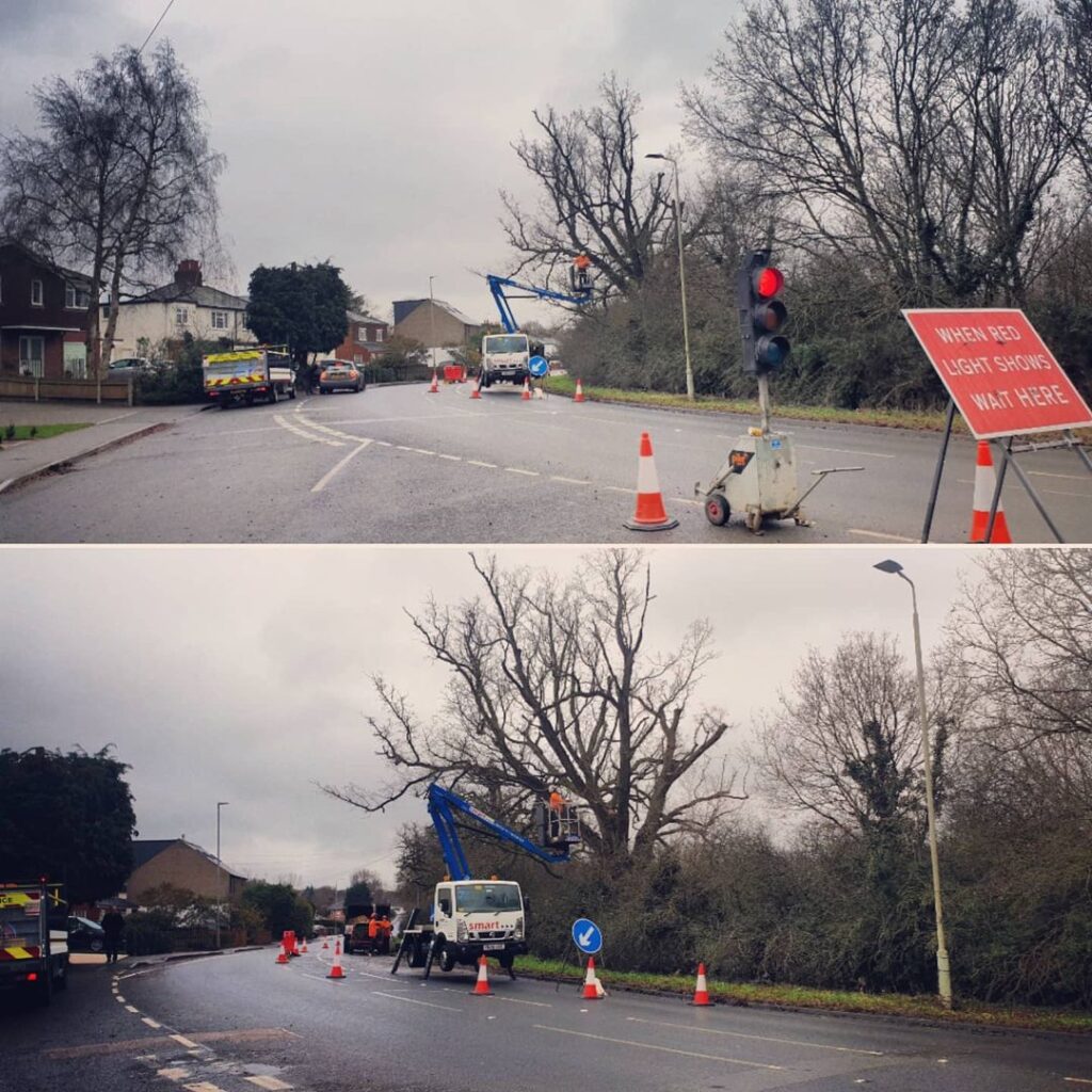 Tree removal north london