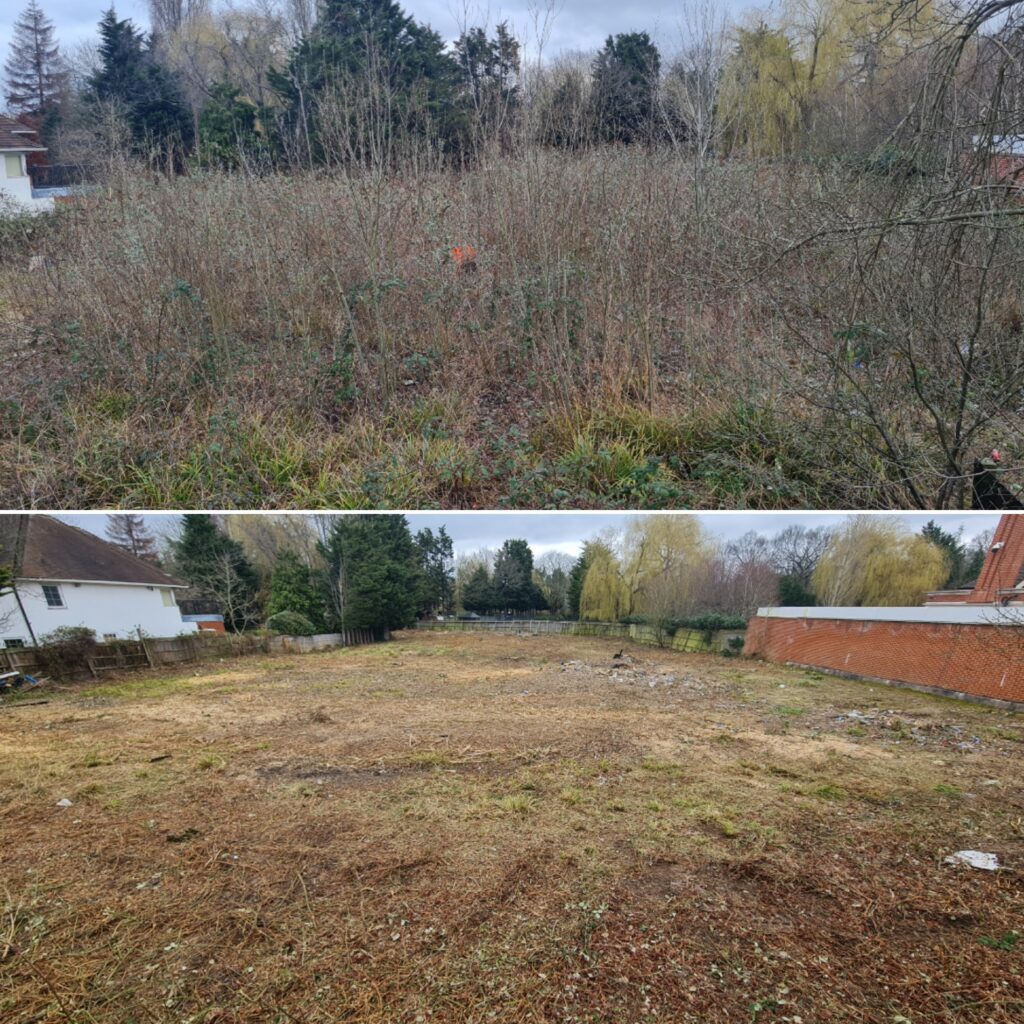 Before and afer